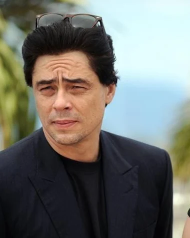 Benicio del Toro, 2008