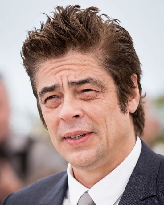 Benicio del Toro, 2015