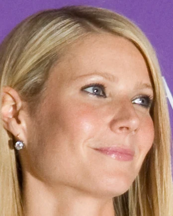 Gwyneth Paltrow, 2008