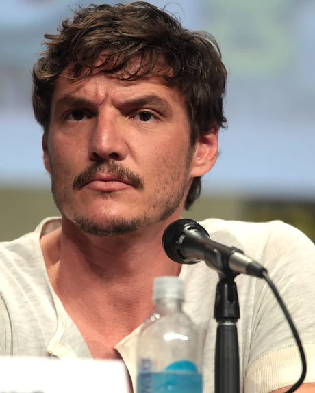 Pedro Pascal, 2014
